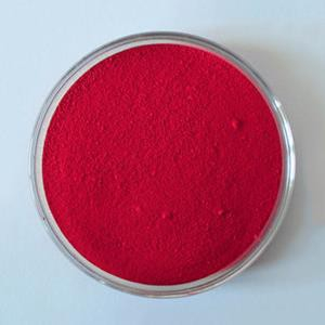 Roșu solvent 169